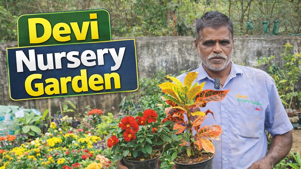 Pallavaram Friday Market 🌿 Devi Nursery Garden Full Tour | Plants Prices & Varieties 2026