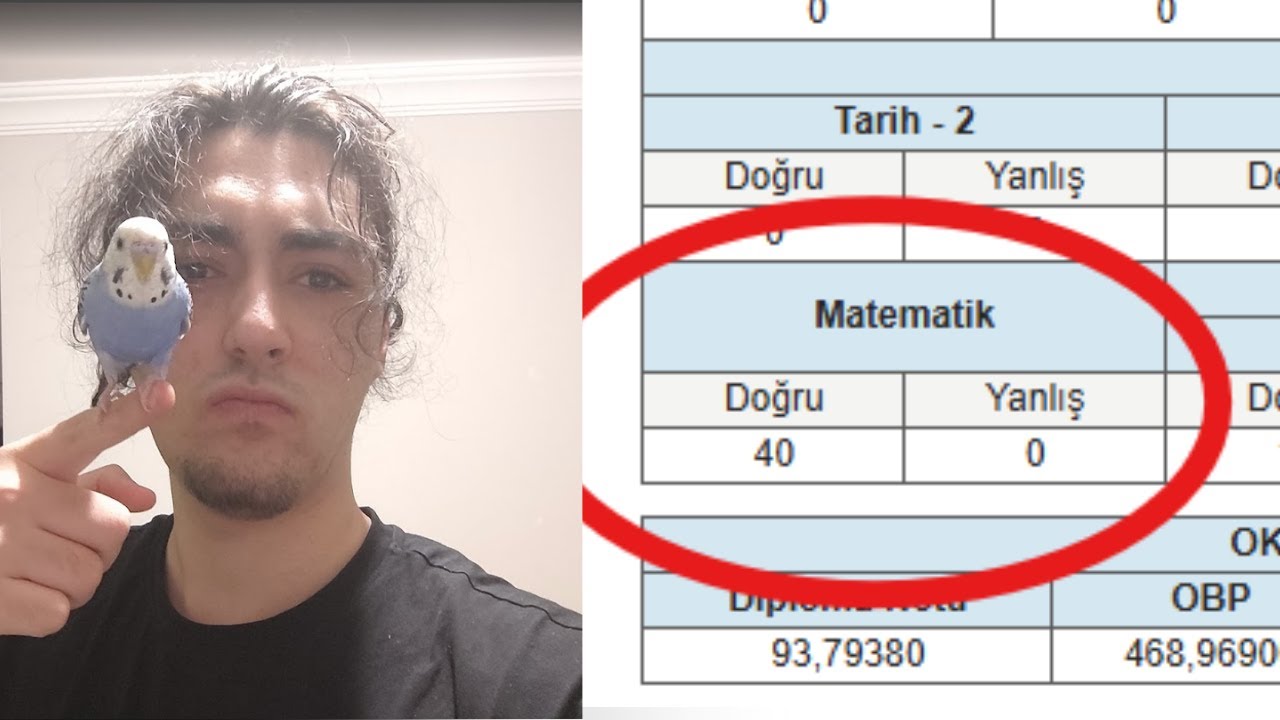 AYT MAT FULLEMEK