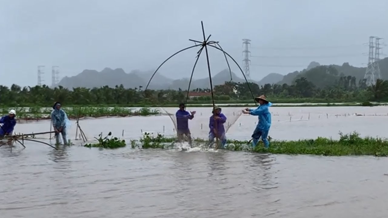🎣 Tổng Hợp Những Tình Huống Kéo Cá Mùa Lũ Muốn Gãy Cả Vó * Kéo Vó 2025