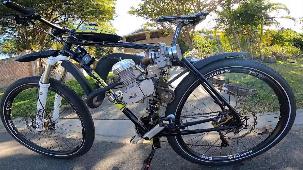 Ride Along Motorized Bicycle. Richey P29er with Jackshaft / Gears