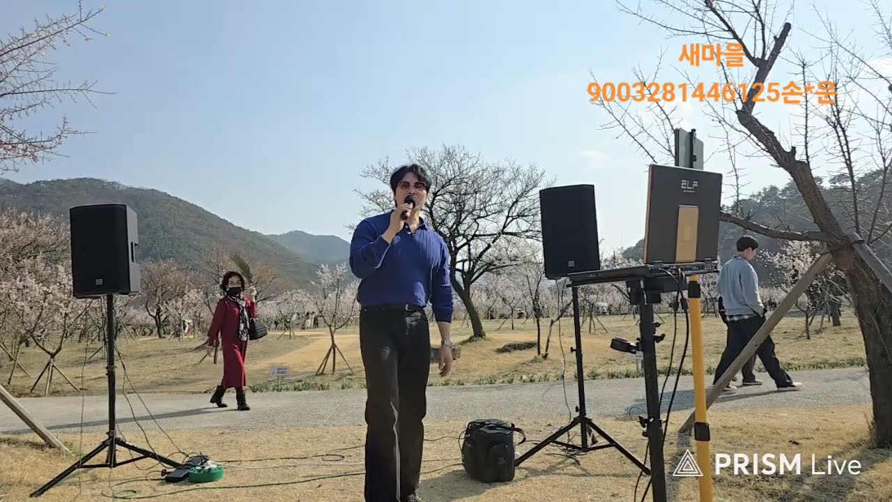세운💕 매화꽃과 함께 버스킹을~
