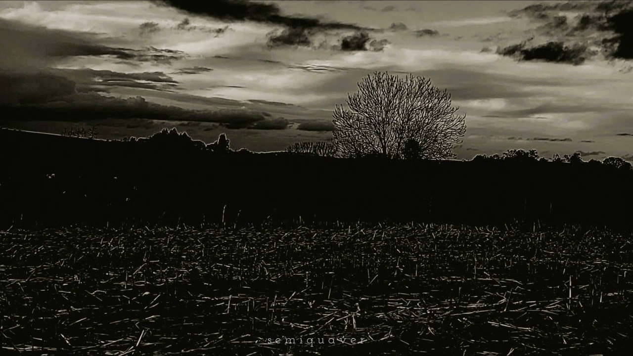 when life feels black and white