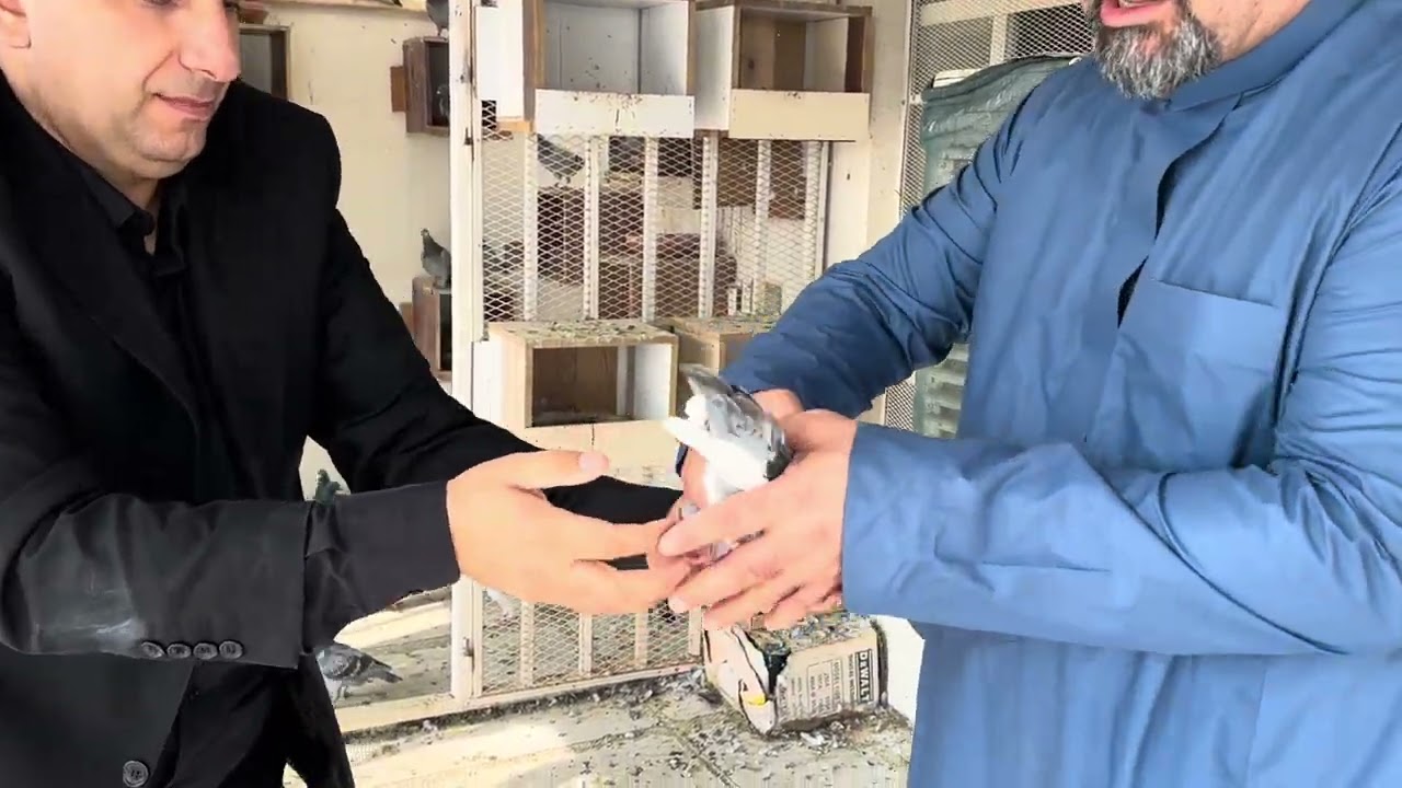 مقابله مع الأخ آريان الصايغ في كركوك تصوير الحمام في بيته