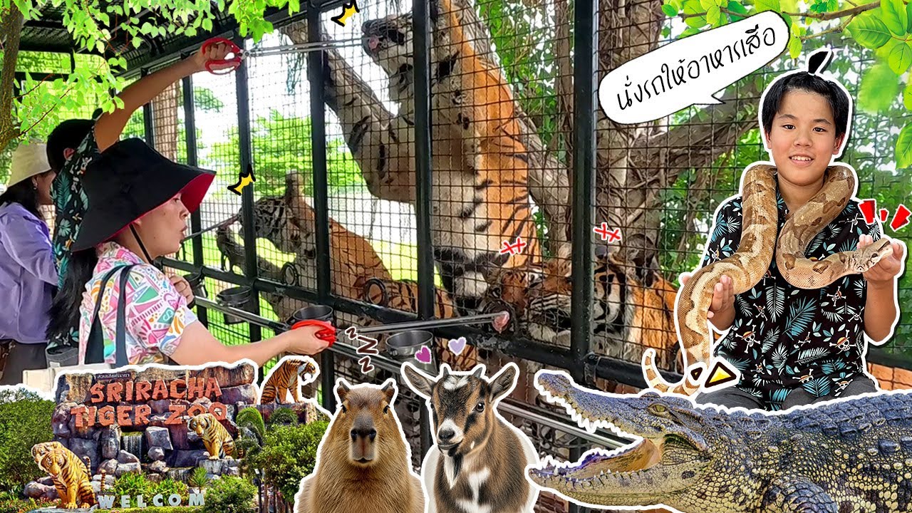 เที่ยวสวนสัตว์ ไทเกอร์ โทเปีย ศรีราชา ซู Tiger Topia Sriracha Zoo | Bm and Porsche