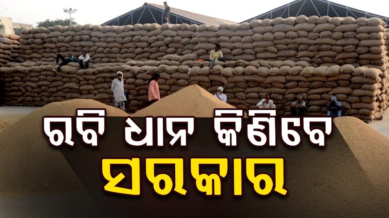 ମେ' ଆରମ୍ଭରୁ ରବି ଧାନ କିଣିବେ ସରକାର | Rabi Paddy Procurement in Odisha