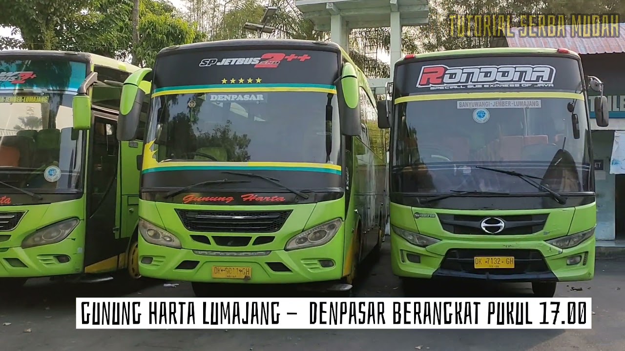 Catat ! Jadwal Keberangkatan Bis Sore Hari dari Terminal Lumajang ke Denpasar dan Kota lainnya