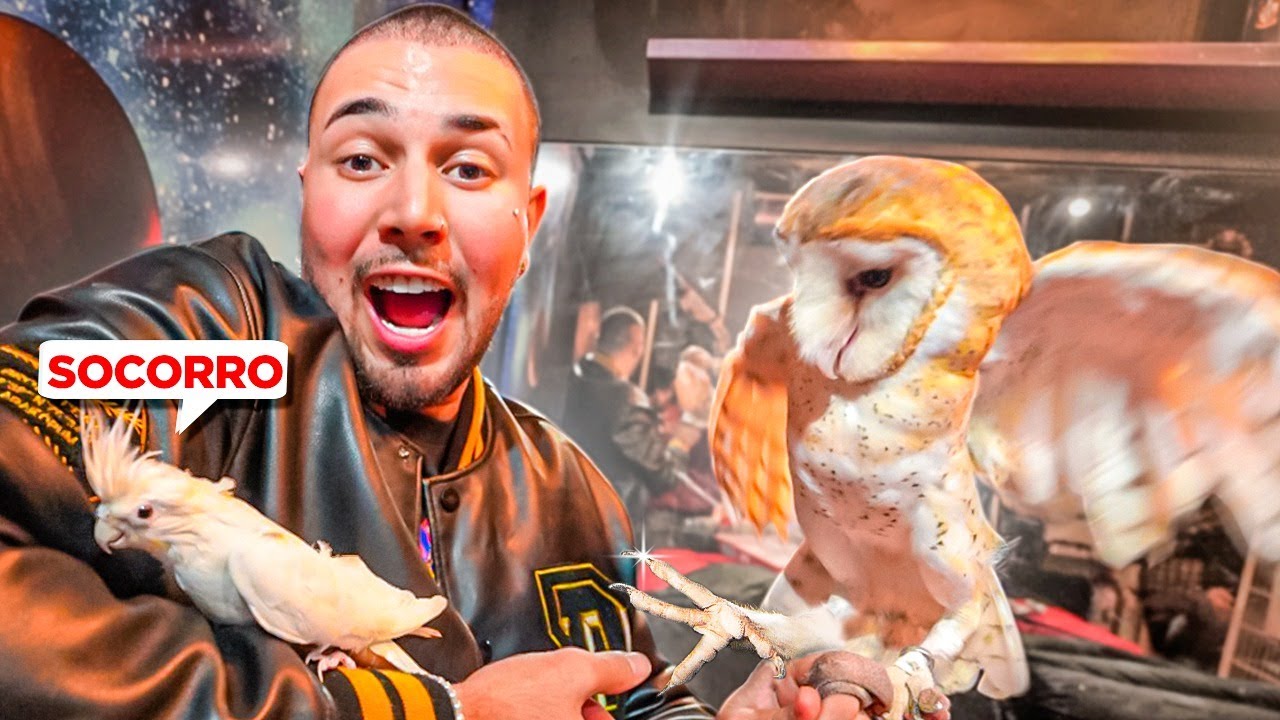 LEVEI MINHA CALOPSITA PRA CONHECER A CORUJA 🦉!! * ela quis atacar * 😢