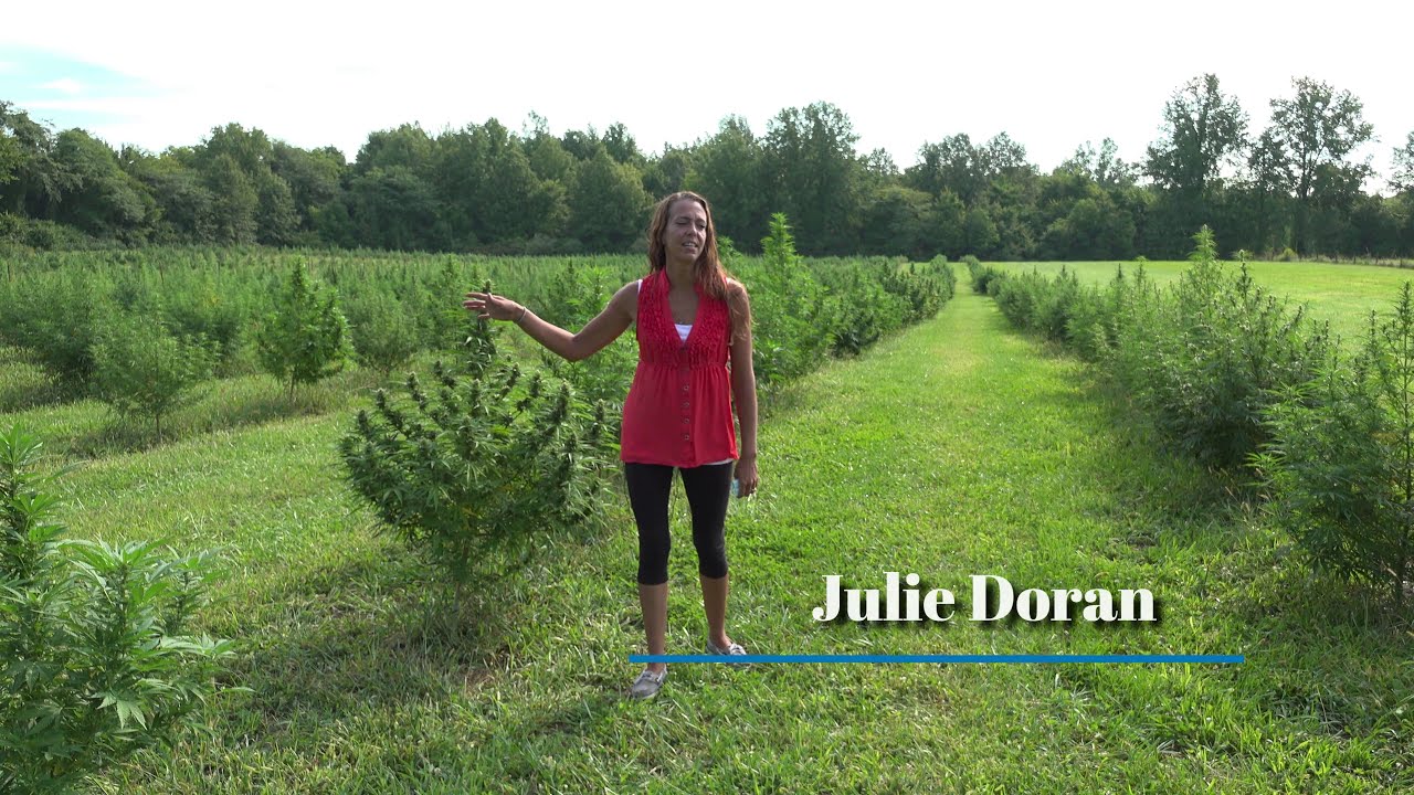 Ohio Hemp Farmers Co-op Promo
