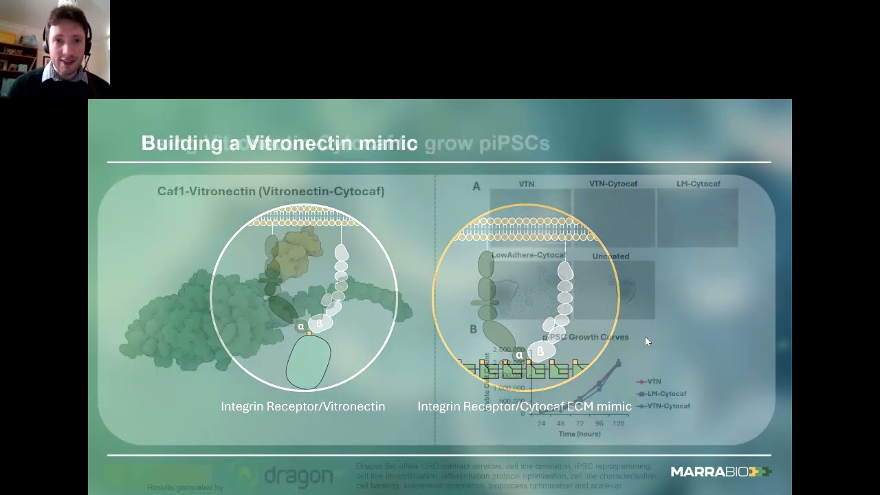 Molecular Lego for Cultivated Meat Engineering Affordability at Scale | MarraBio