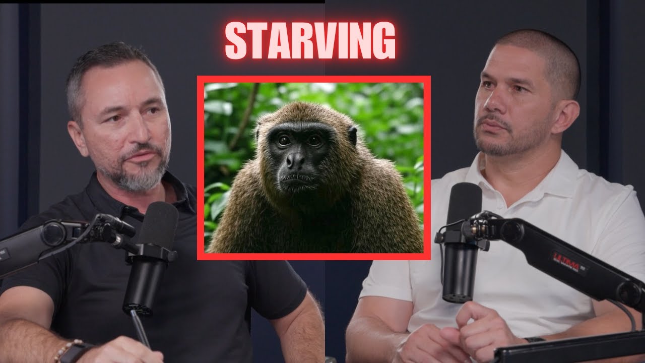 Clip - Starvation: The Monkey Tragedy
