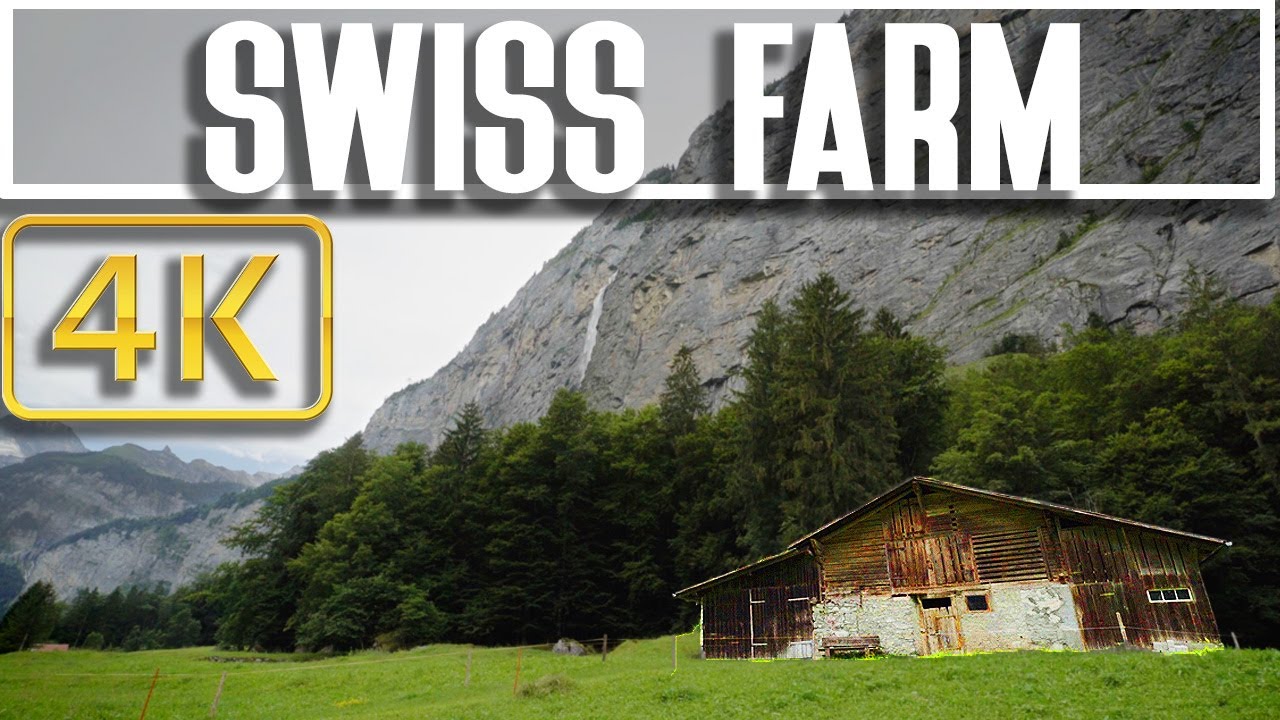 4K - 8 HR - Relaxing Swiss Meadow Sounds - Jungfrau Valley - Switzerland For Sleep and Calm