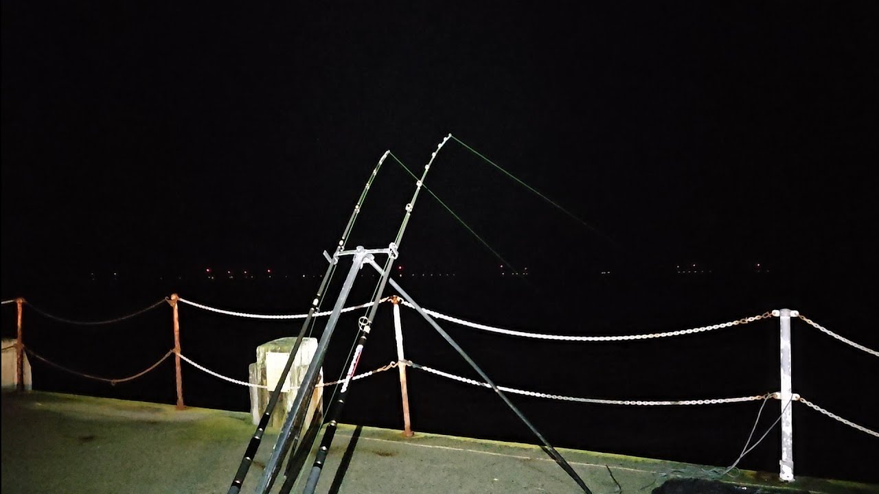 Fishing a late October evening tide on clacton pier in search for codling!