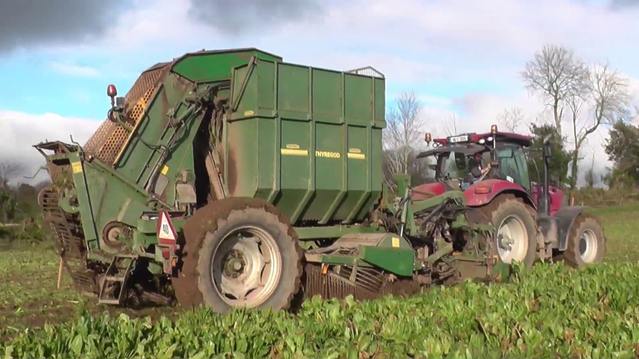 John Flavin Agri Beet 2019