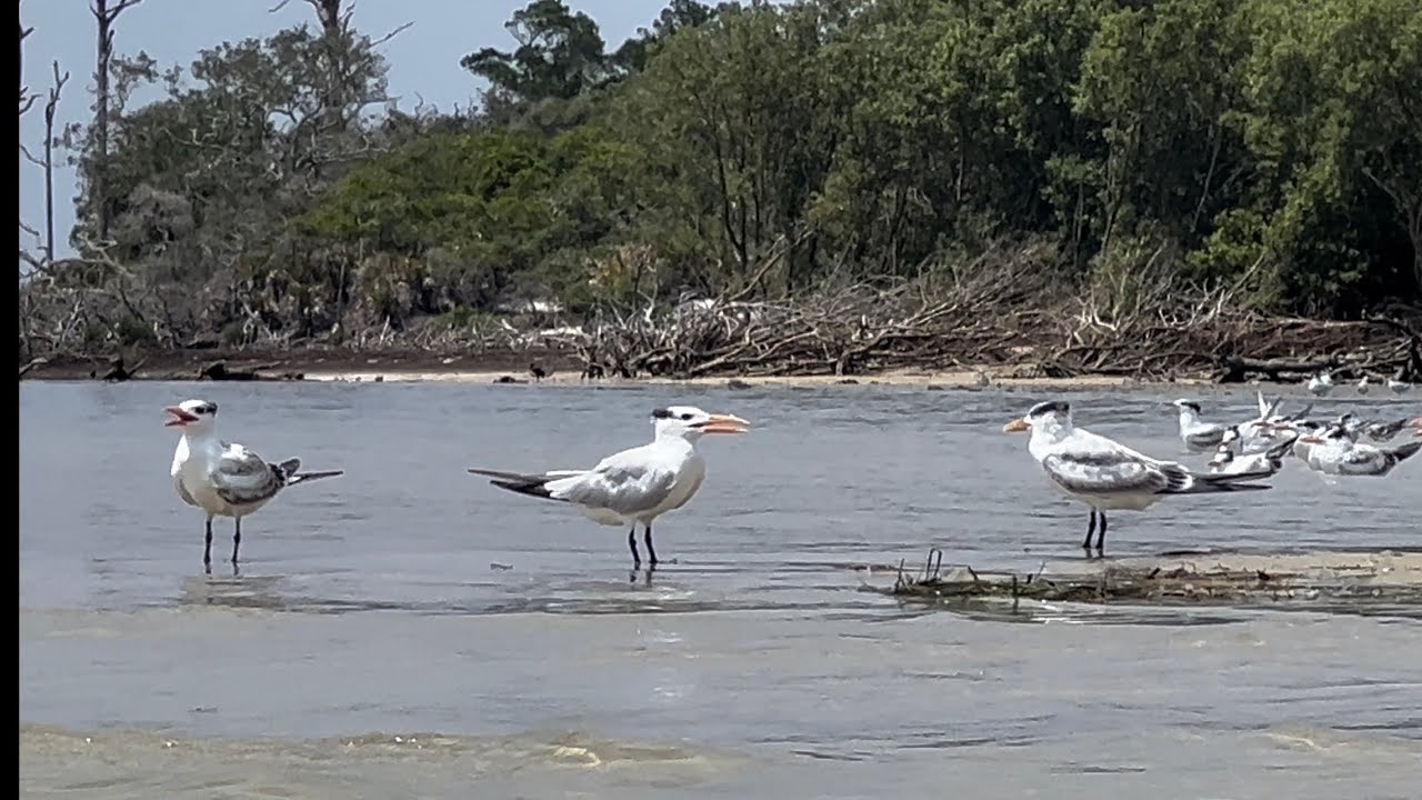 The bar of North Key