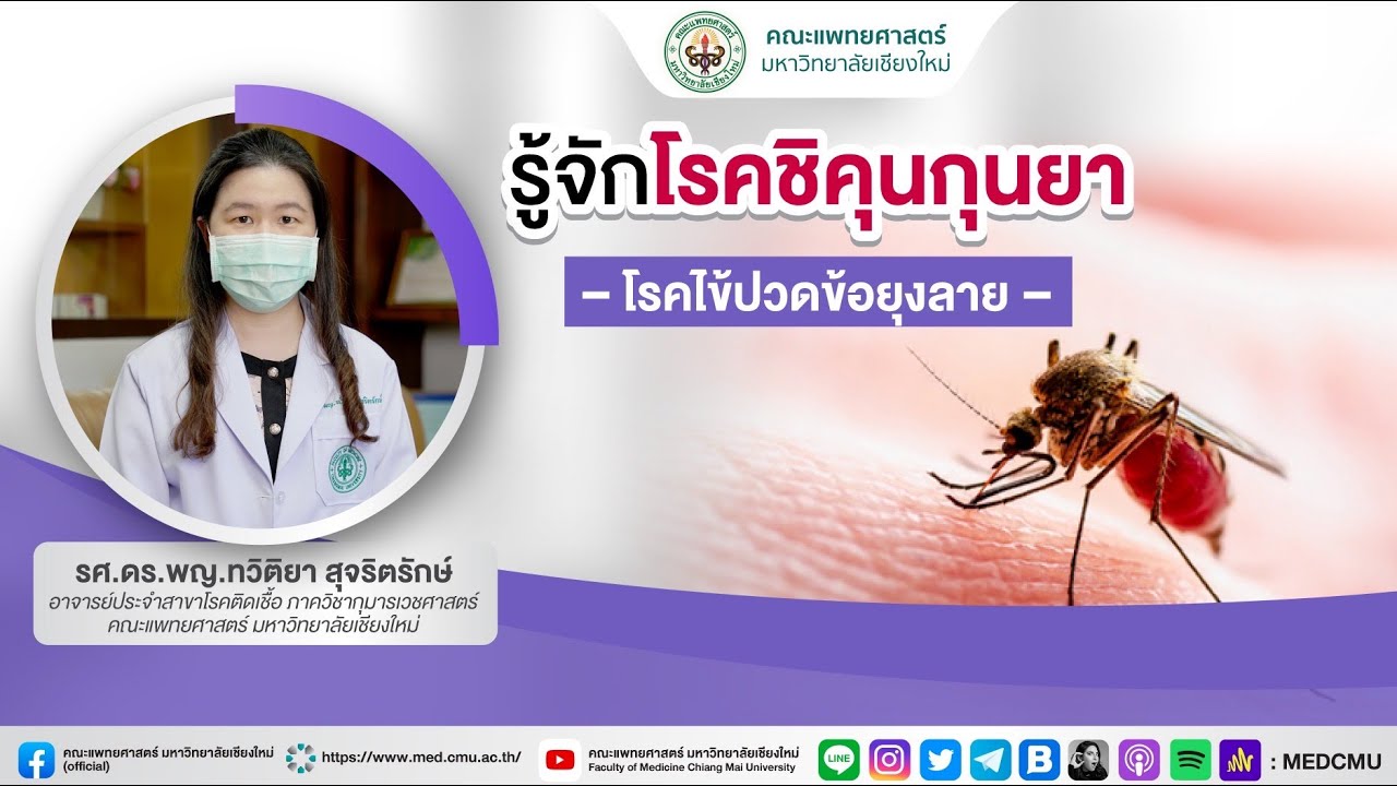 รู้จักโรคชิคุนกุนยา  โรคไข้ปวดข้อยุงลาย