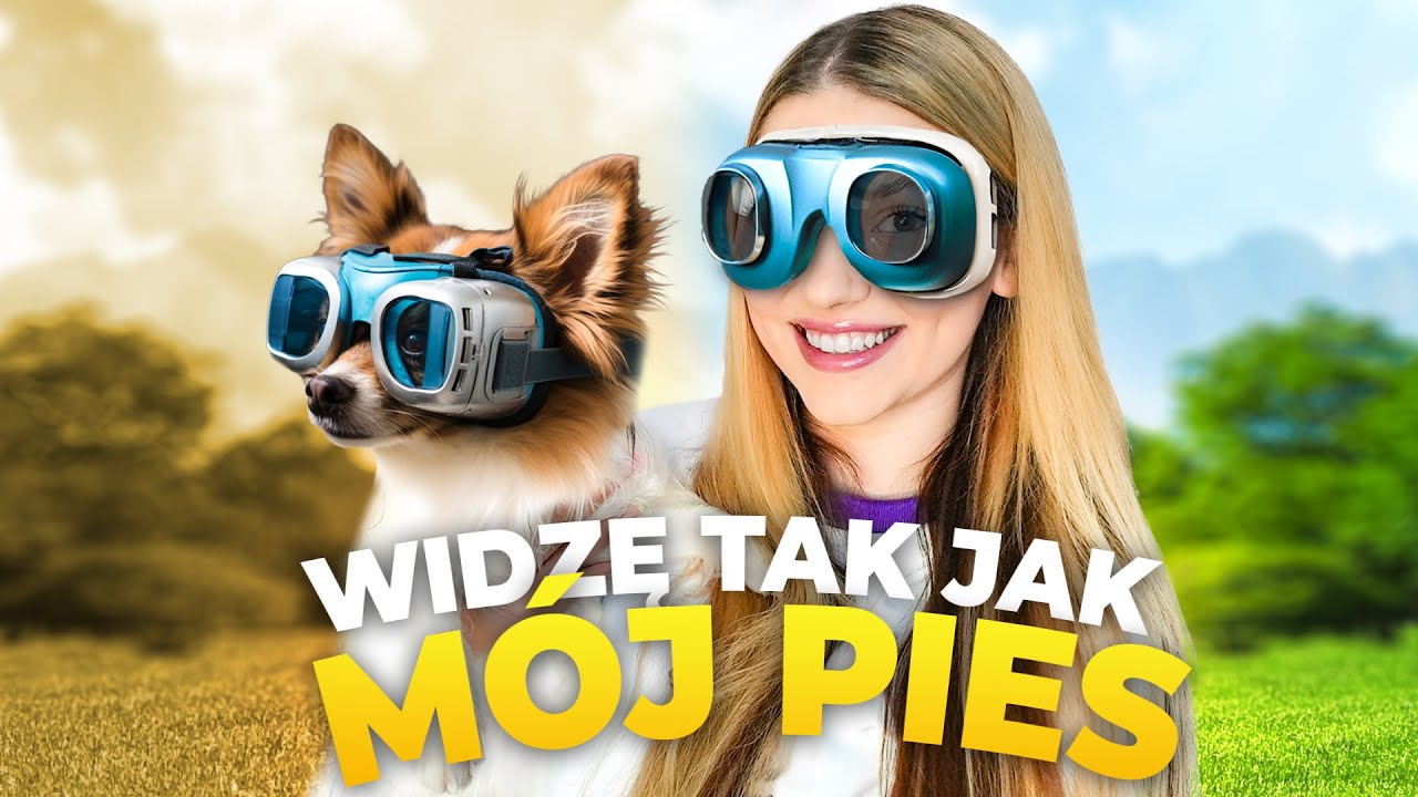 PRZEZ 24H WIDZĘ TAK JAK PIES!