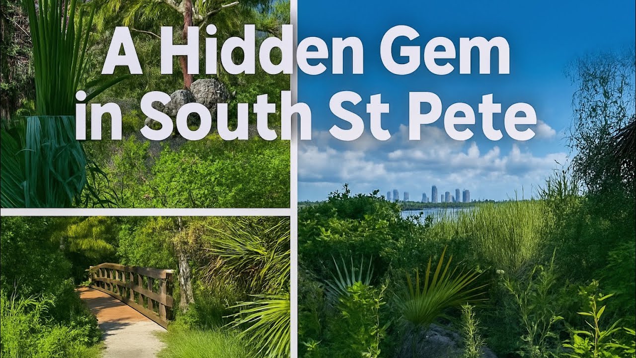 Exploring the Secret Trails of South St. Pete!