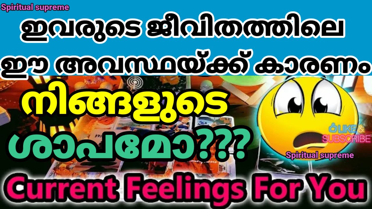 True intentions and feelings 🤩 of your person ❤️🥰😱😍💔 ♥️ 🤯 😱 Showing 💯 True emotions #tarot #reunion