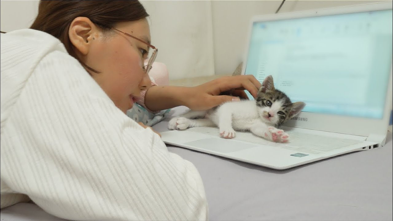 What Do Kittens Do When They Want To Sleep With You?