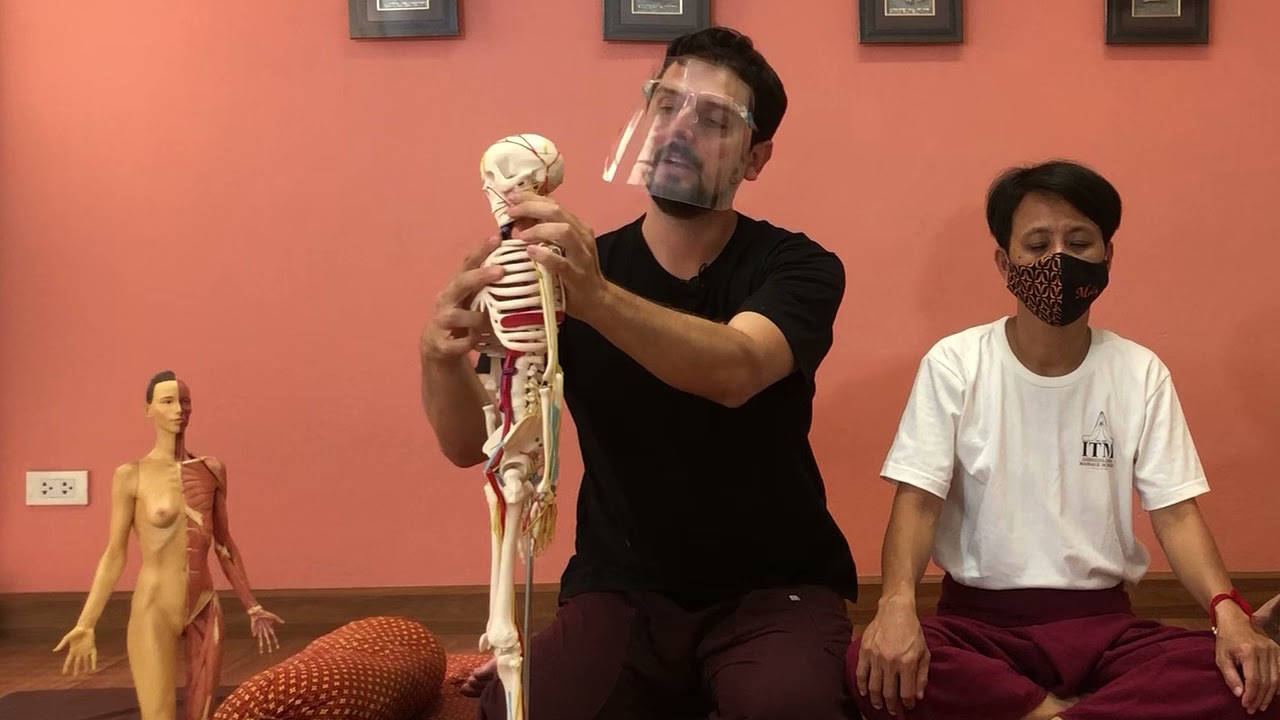 ::Dor ATM - Trabalho Cervical preparatório para ATM