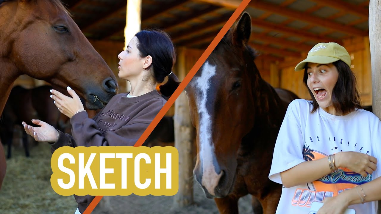 Normálni ľudia VS ja - KONE 🐴 | Patra Bene