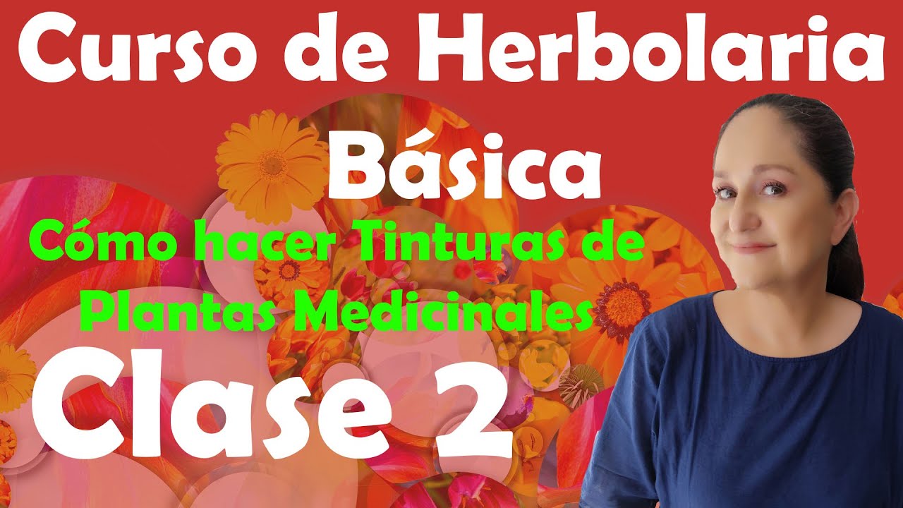 C&oacute;mo hacer TINTURAS de plantas medicinales   Curso de herbolaria clase 2