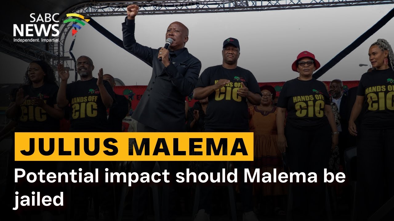 Potential impact should Malema be jailed