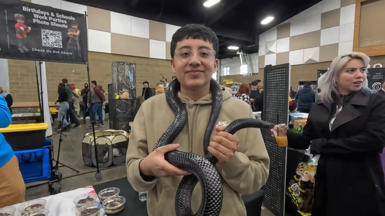 The Largest Reptile Show In The Northwest