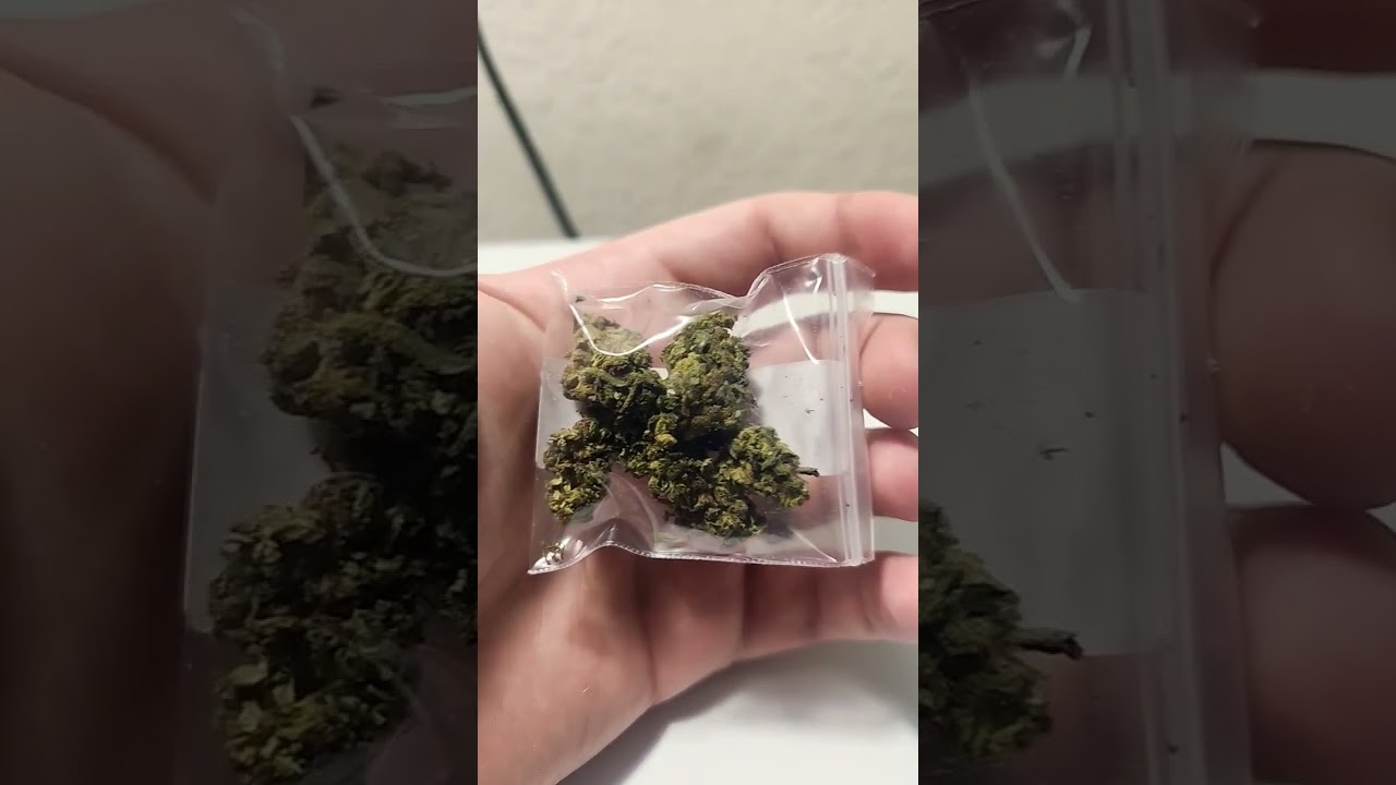 JK Distro Cotton Candy Strain sample