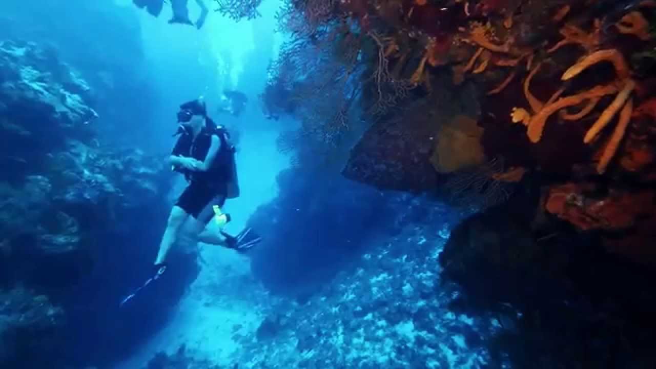 Best Scuba Diving in the World, Cozumel, Mexico: Palancar Gardens Wall (HD - 1080p)
