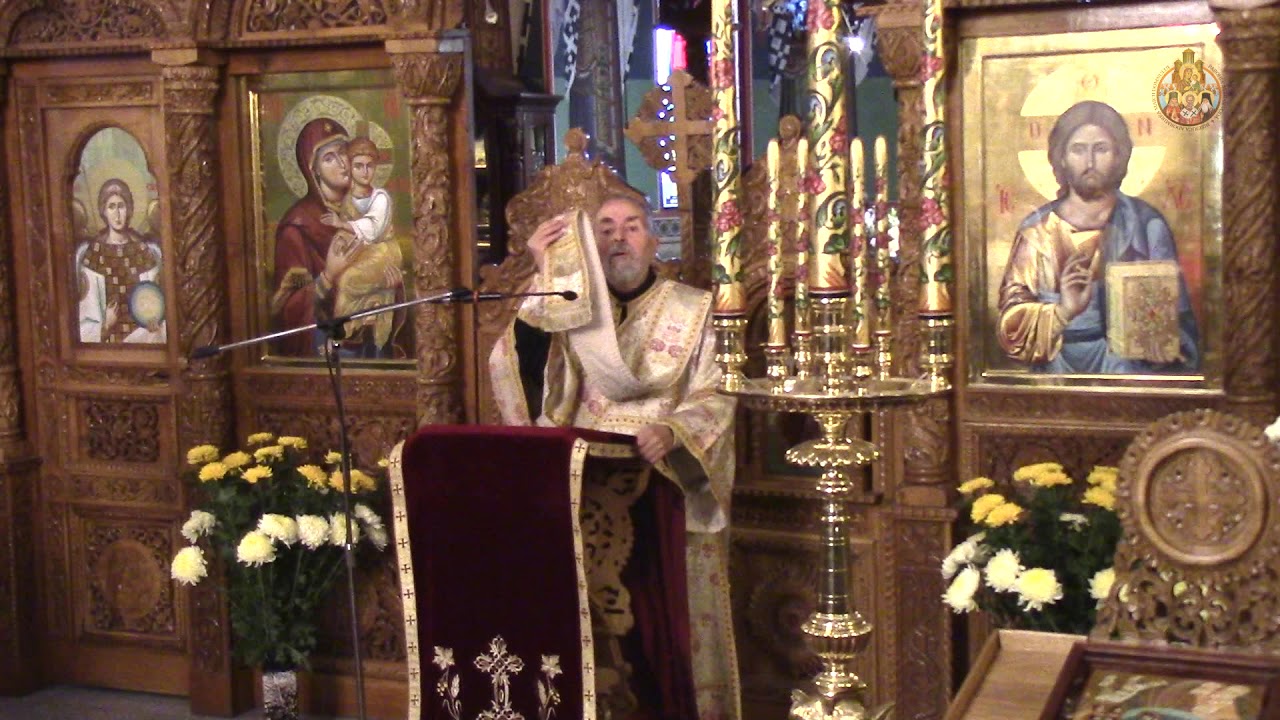 pr. arhid. Ioan Caraza - &Icirc;nvierea fiului văduvei din Nain (07.10.2018)
