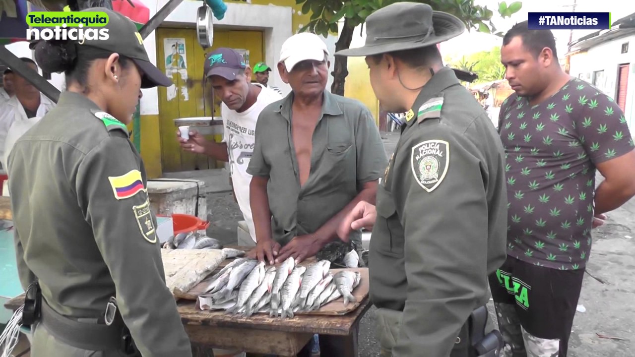 Autoridades de Caucasia en alerta por pesca prohibida de bocachico