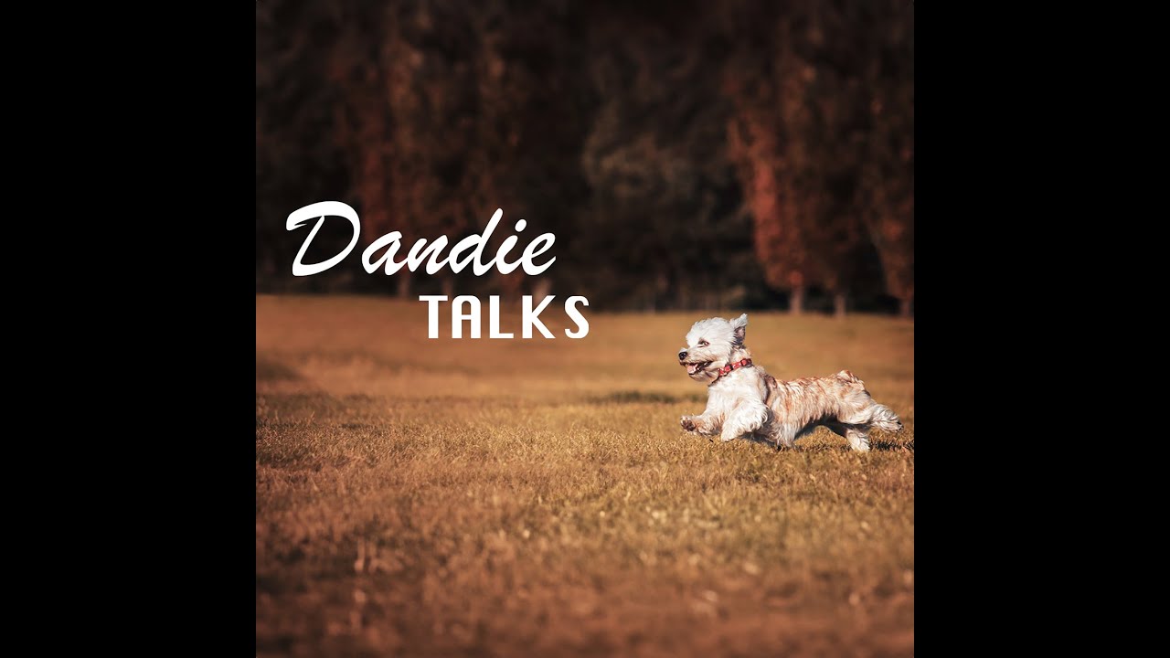 Dandie Talks with Dr. Emma Greenway