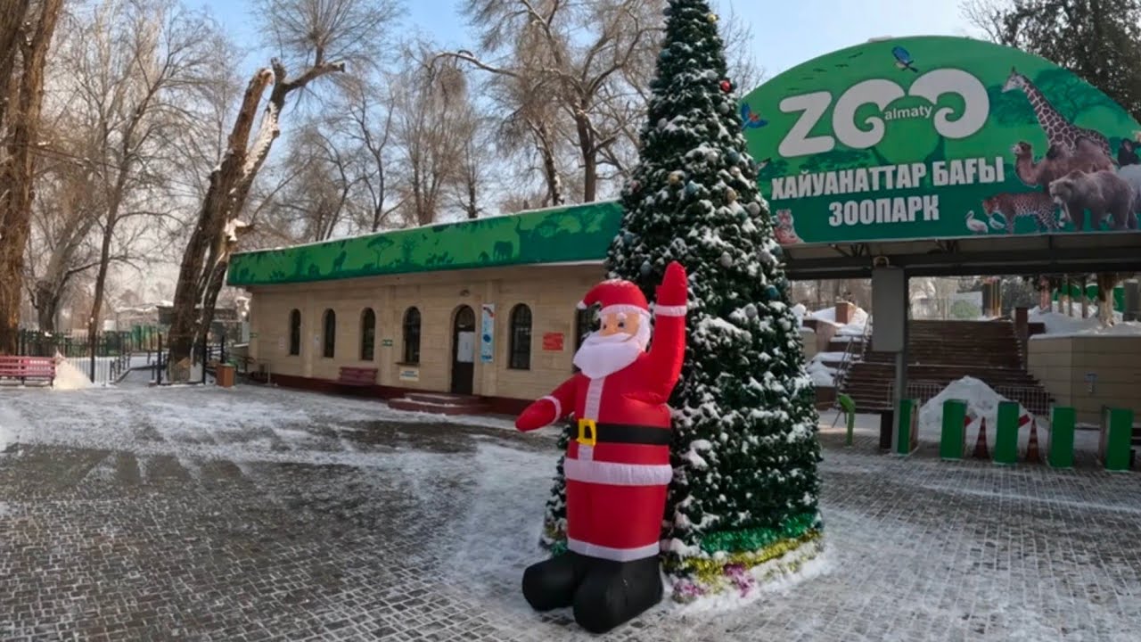 MY FIRST SOLO INTERNATIONAL TRIP | KAZAKHSTAN | SIM CARD | ALMATY ZOO |