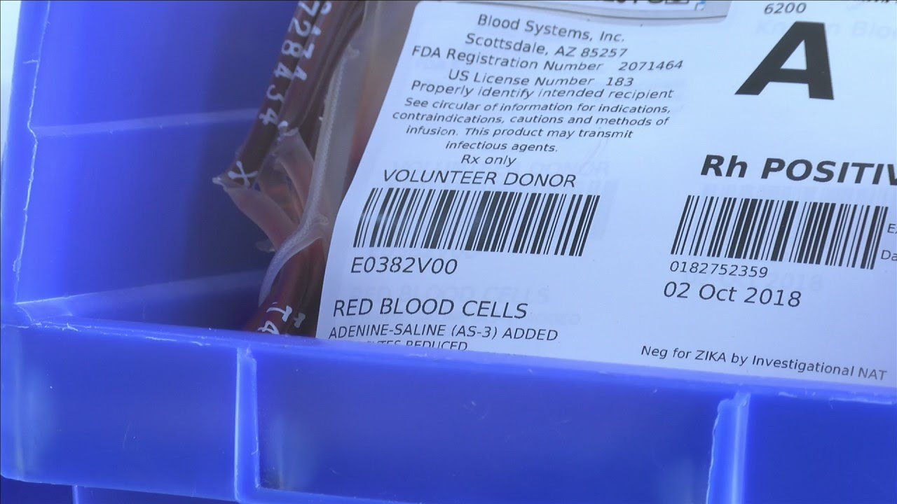 Screening process for donating blood is very rigorous