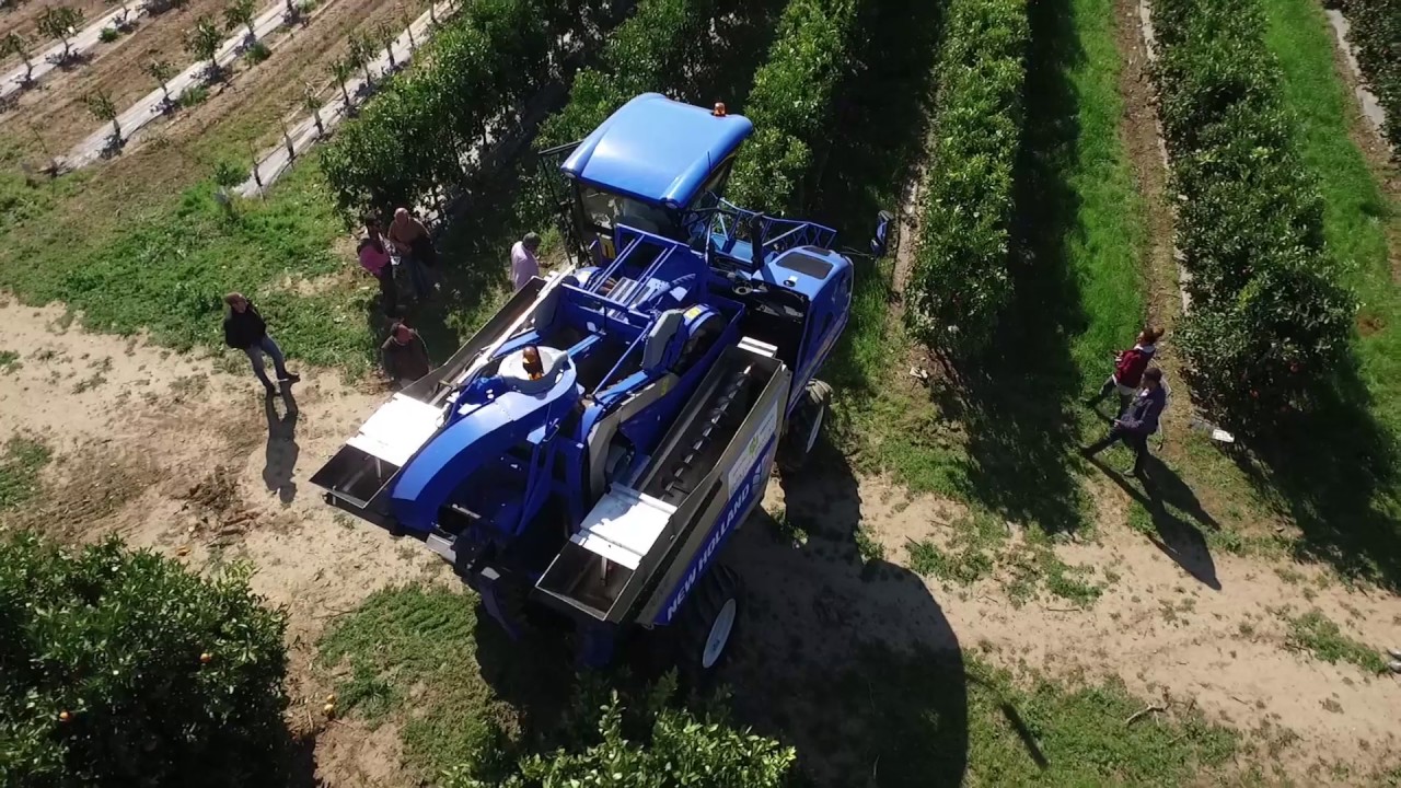 Cosecha mecanizada de cítricos en super alta densidad. AGROMILLORA-IFAPA Sevilla 2017.