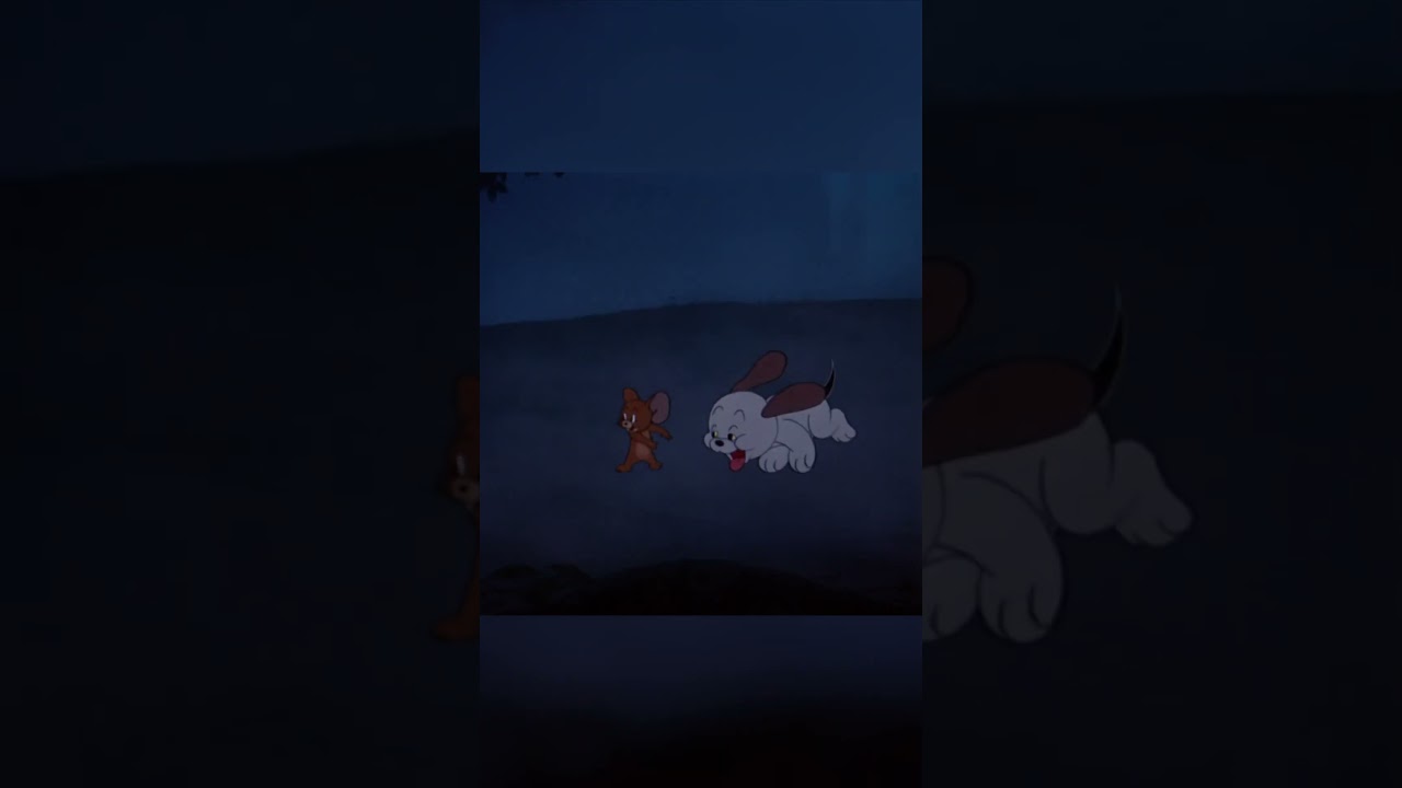 Puppy Sneak | Tom and Jerry | Boomerang UK #puppy #TomandJerry #ClassicCartoons #shorts