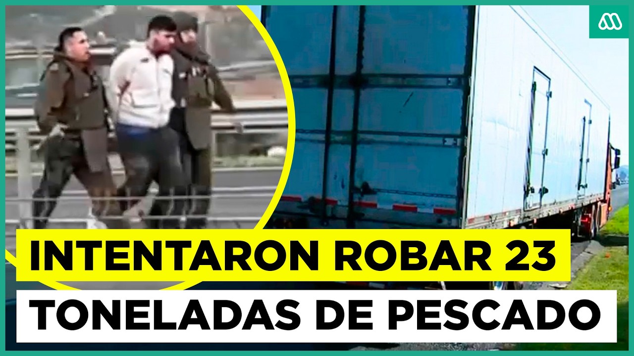 Quer&iacute;an robar 23 toneladas de pescado: Balacera y persecuci&oacute;n en plena Ruta 5 Sur
