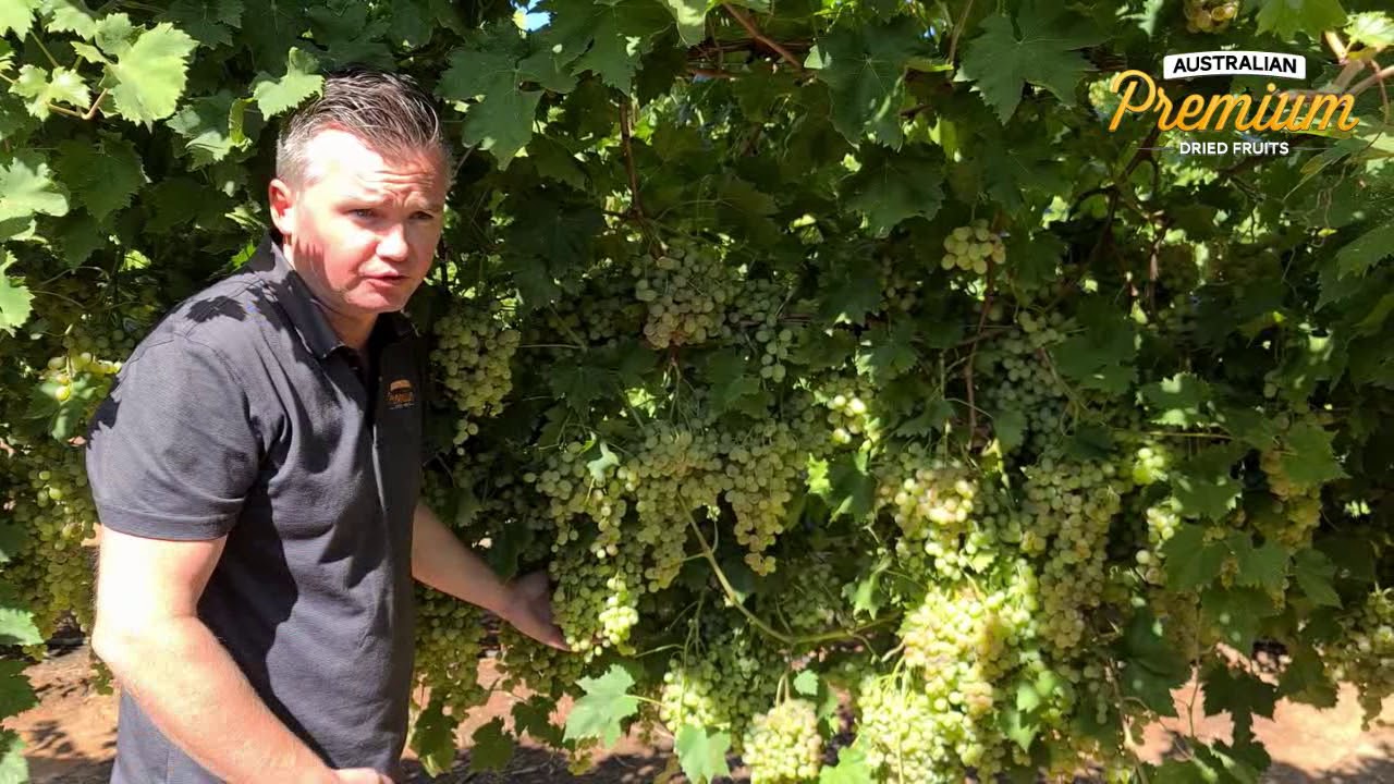 2021 Crop Report #3