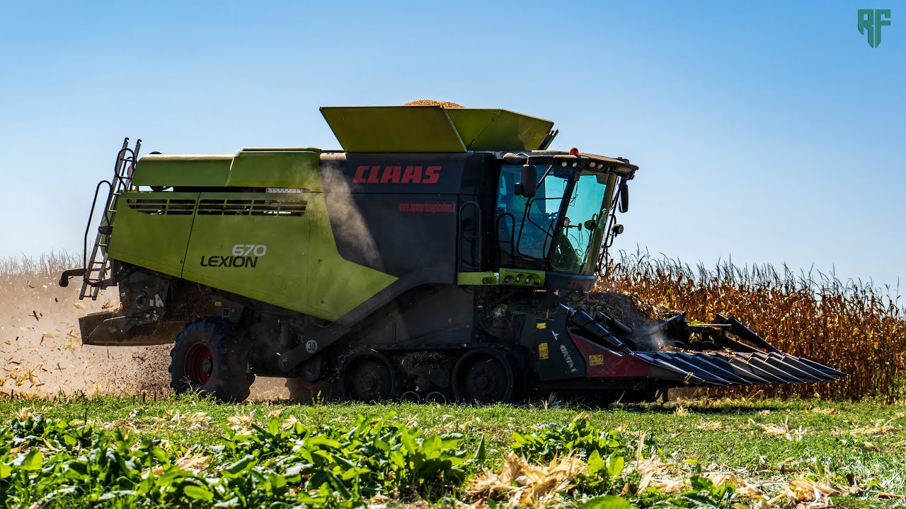 |Trebbiatura Mais 2023| Claas Lexion 670TT Black Beauty & Dominoni| Bassan Snc|