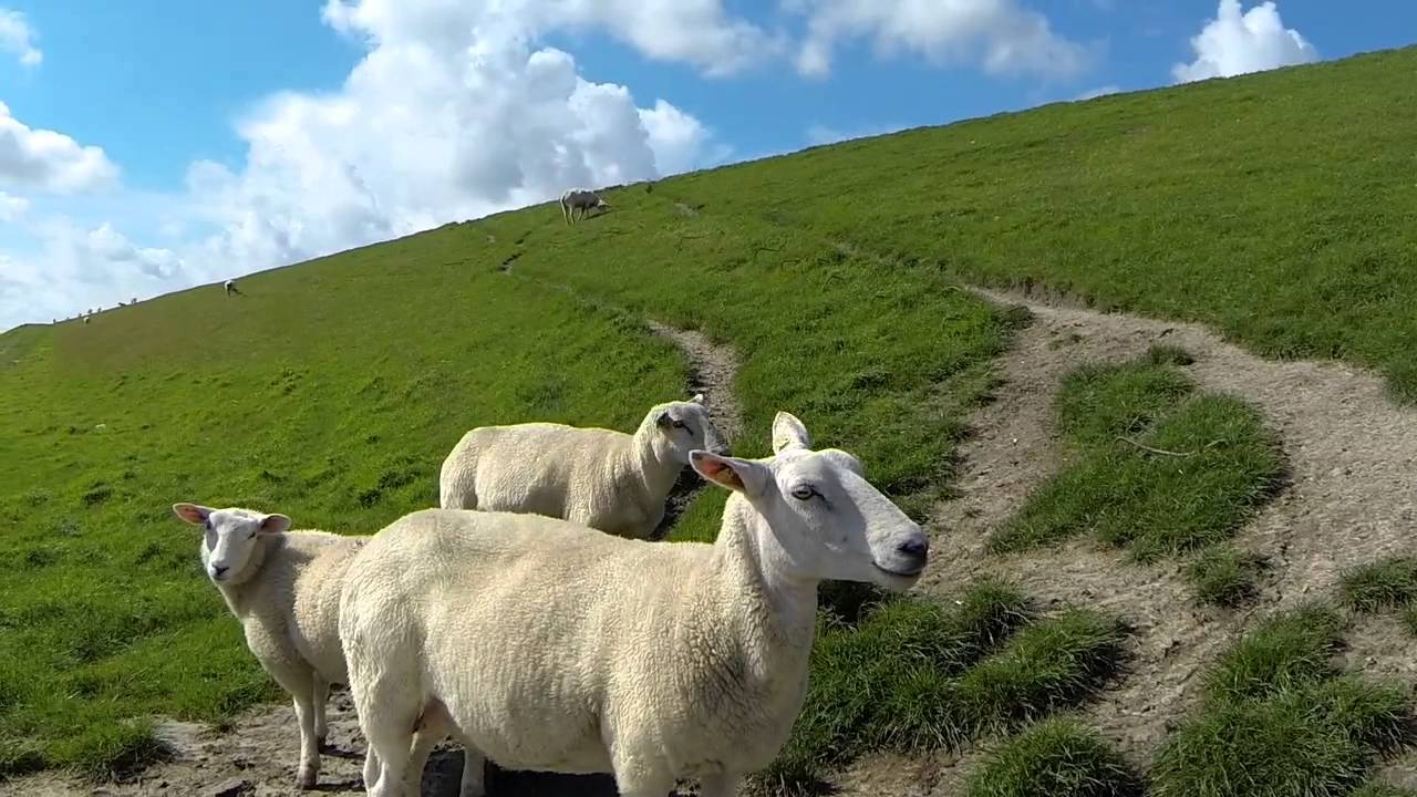Rowerami z Hamburga na wyspę Sylt