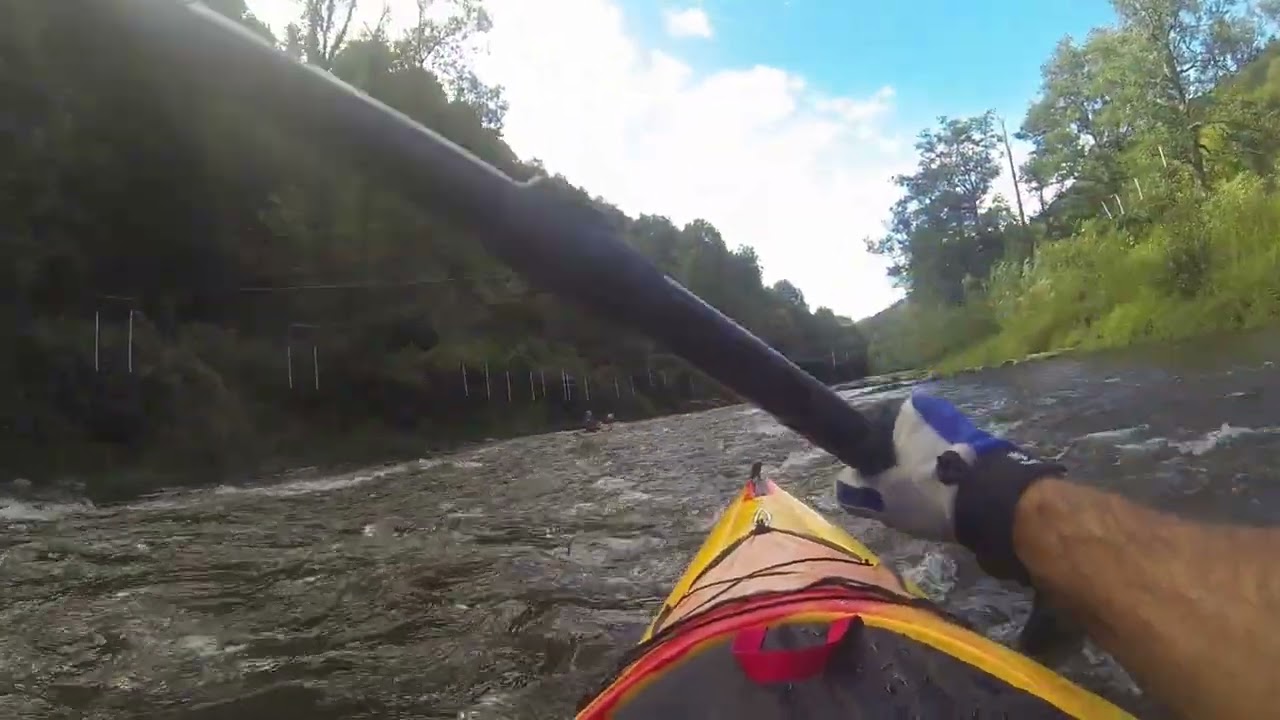 Symonds Yat Rapids