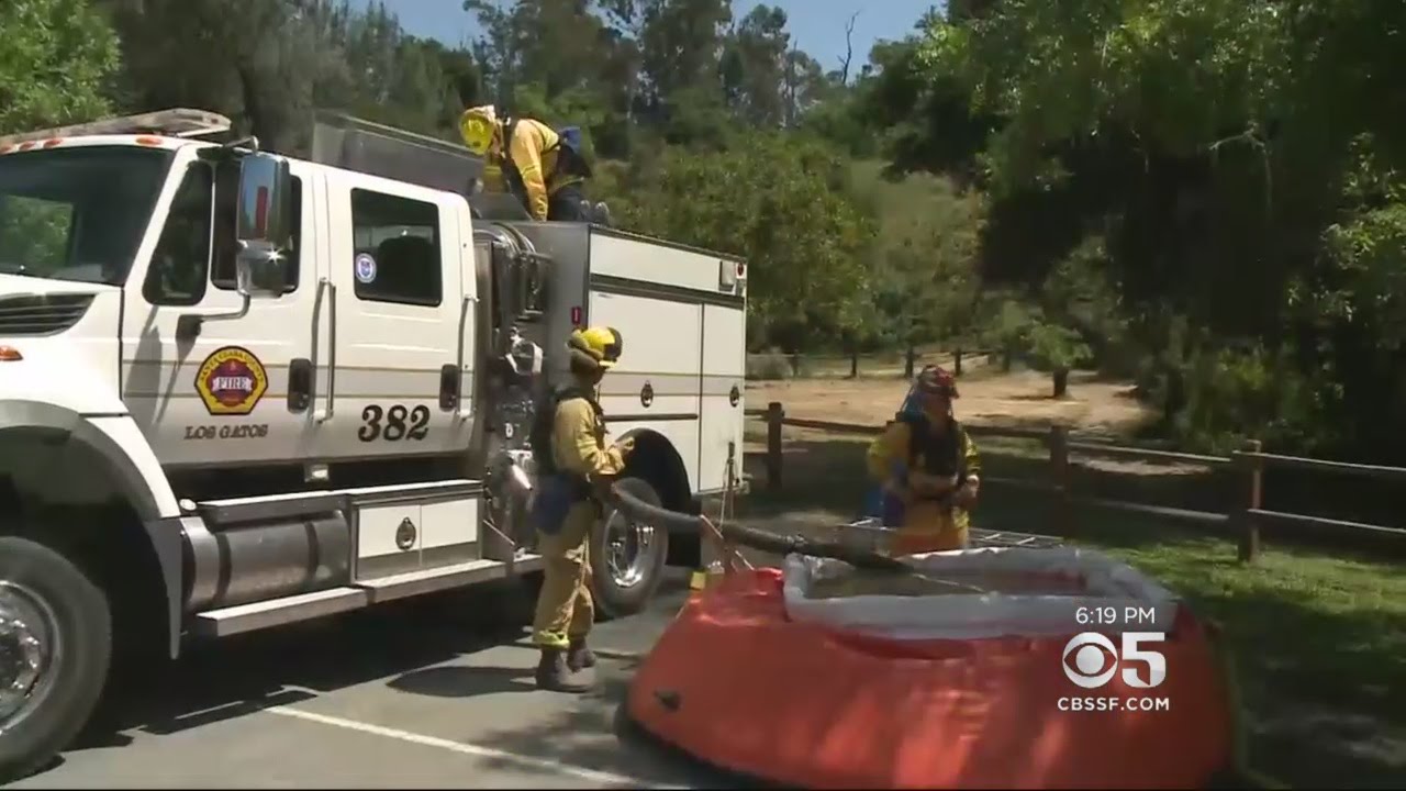 Tall, Dry Vegetation Threatens To Fuel Wildfires