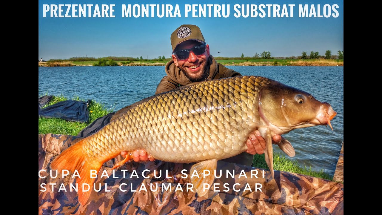 Concurs Cupa Baltacul- Prezentare montura pentru Substrat Malos