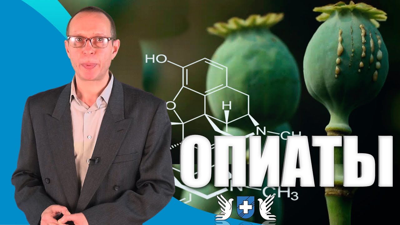 Опиаты. Наркотики без которых наркоман не может жить.