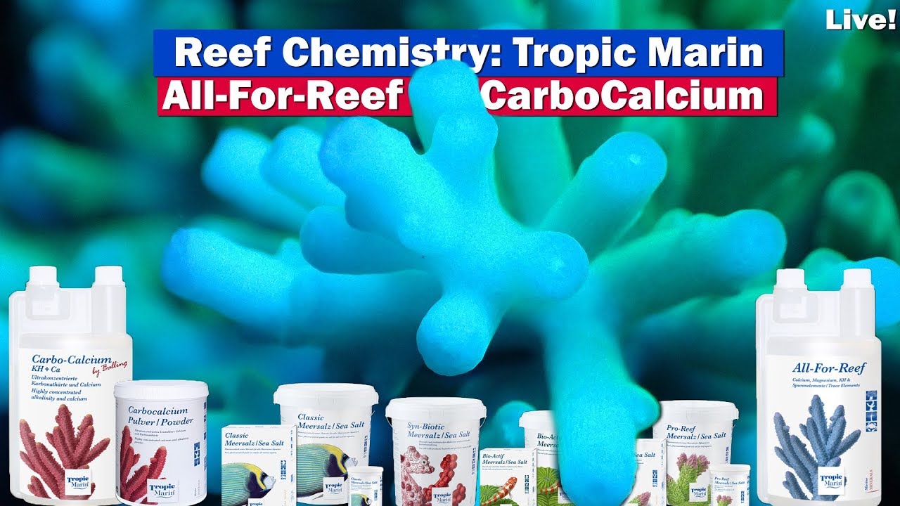 Reef Chemistry with Tropic Marin - Carbocalcium - All-For-Reef, balling salts