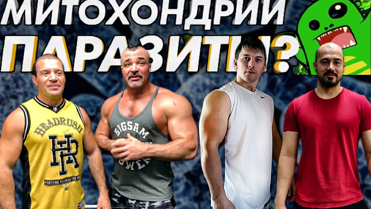 Стрим. Митохондрии паразиты? Как часто тренироваться?  Егор Рубанович, Стефан Диас, Хосе, Замятин