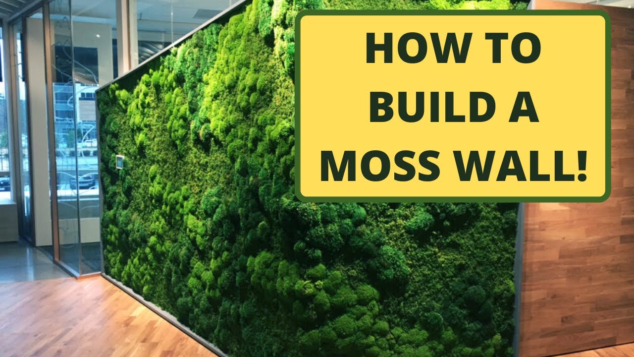 How to Make a Moss Wall | Use Pre-Made Moss Panels.
