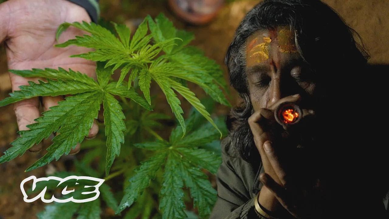 Das Land, in dem Cannabis nur an einem Tag im Jahr legal ist &ndash; Der Kampf gegen Drogen