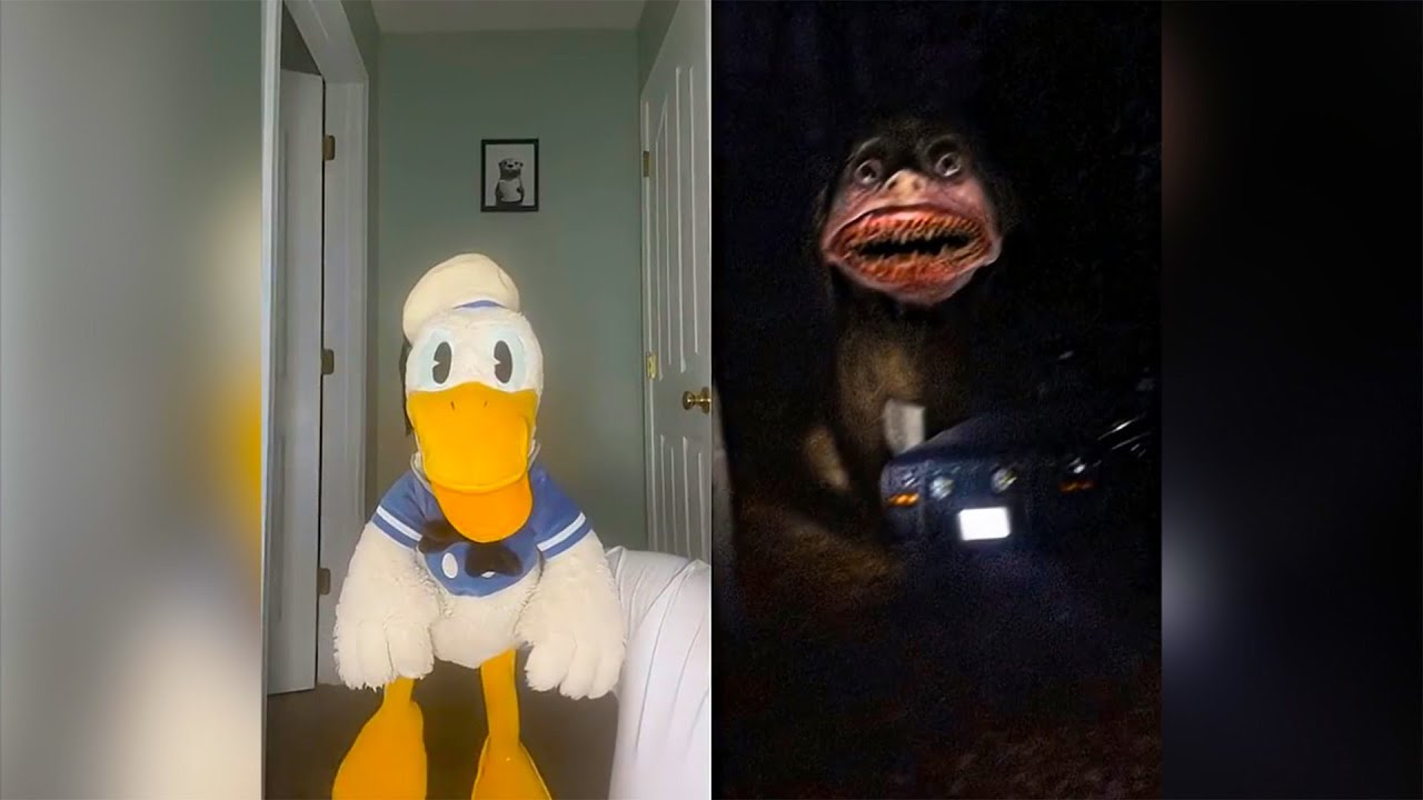 Donald Ducc SCARIEST TikToks 196 (DO NOT BE SCARED CHALLENGE)